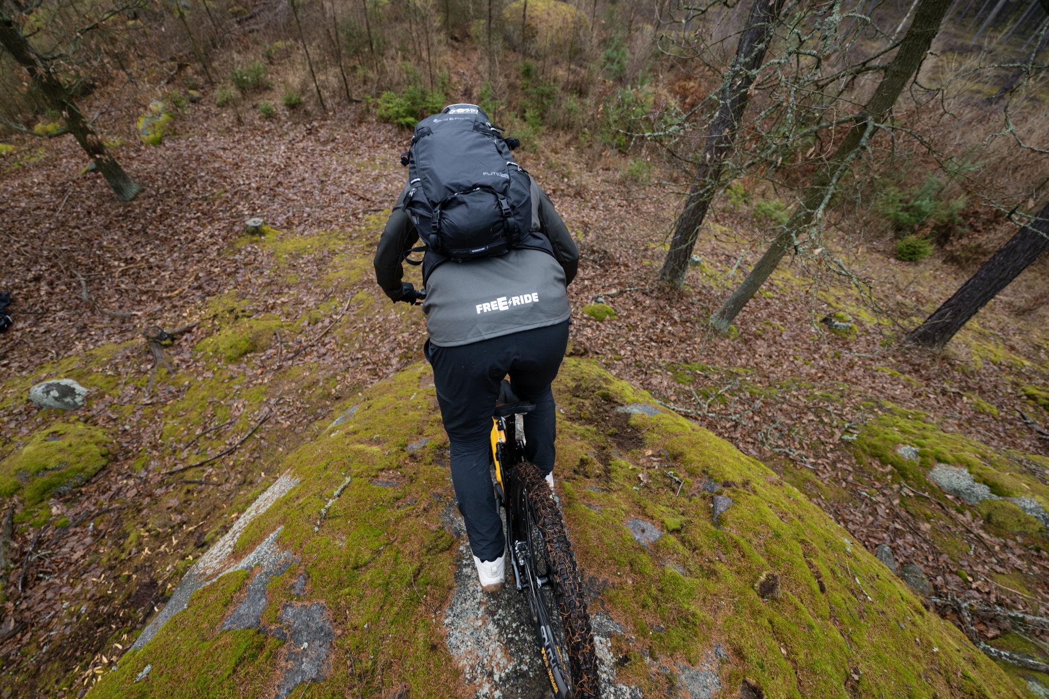 M_S Z 326 (110)_small